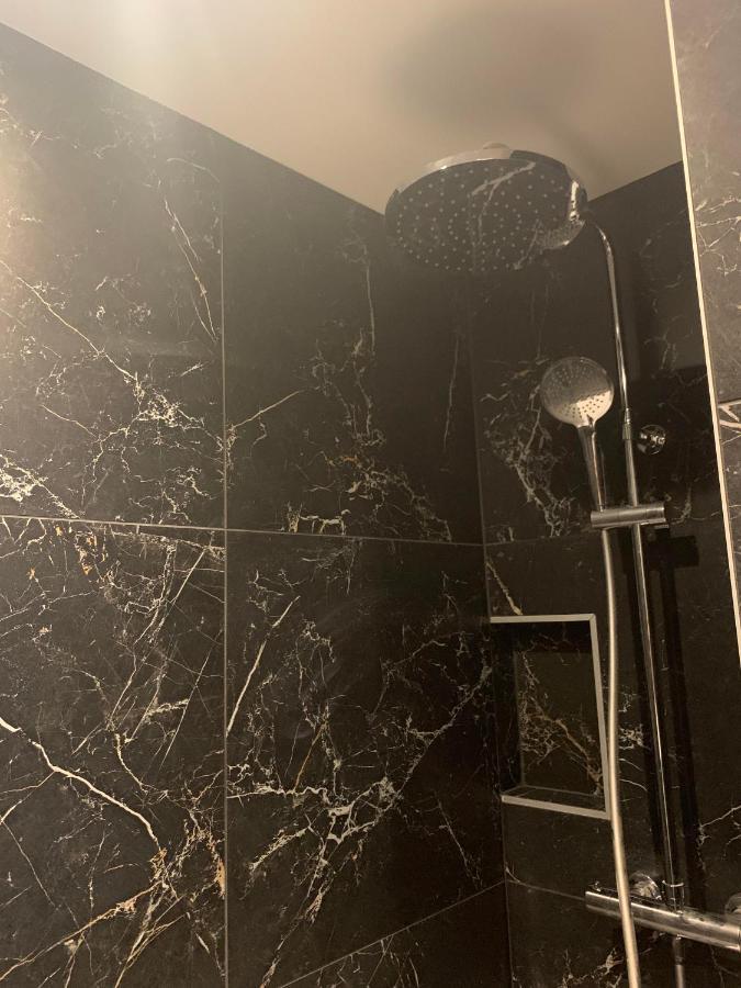 Celect'In Lyon Suites Climatisees Skyview Екстер'єр фото